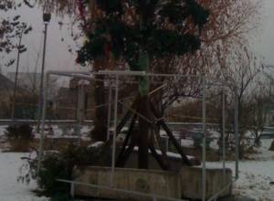 Brilliance and poverty: New Year is coming