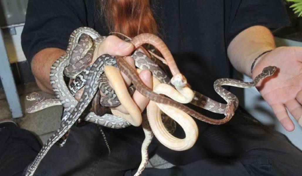 38ccec3f635cc7852bf54ee24040d76d