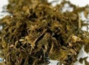 Marijuana under car seat