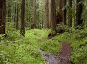 Ministry against pests