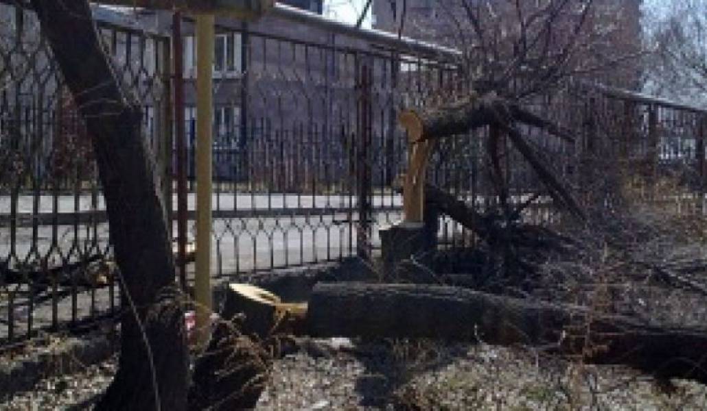 2574c788d703a2e43c7554cc4a5405bd