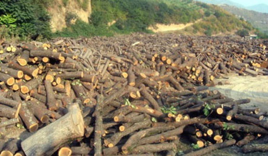 cf4435f030775b94b77f80df916e9d4b