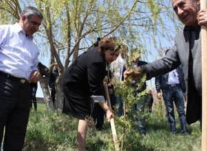 “My Armenia” working group cleans “Diaspora Garden”