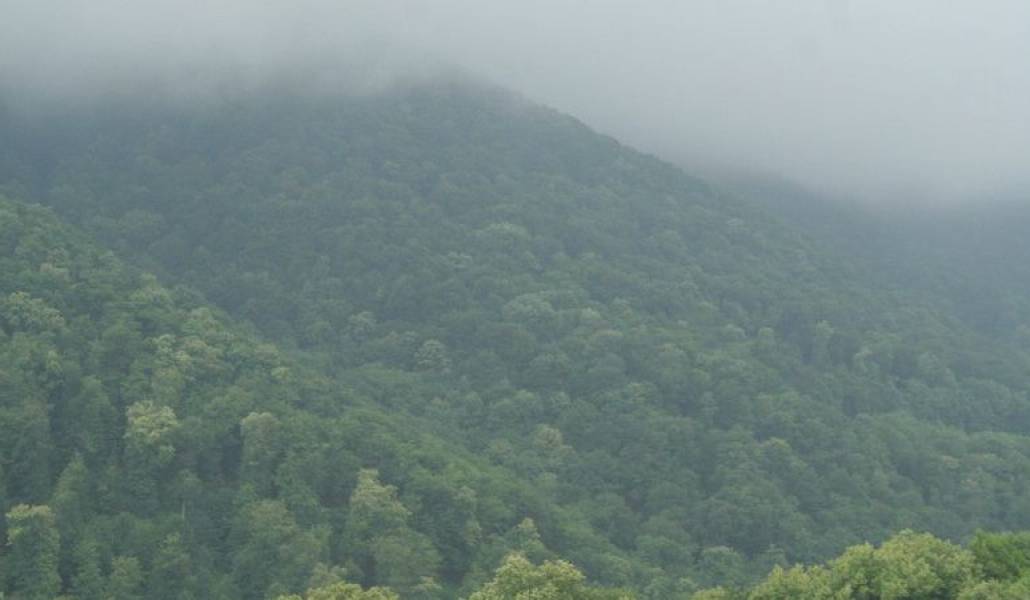 d87c3c48dfda971ebbd6b1ddad49381d