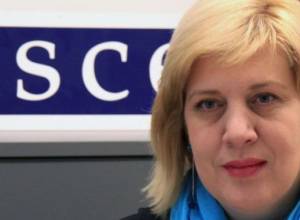 OSCE media freedom rep.condemns journalist's arrest