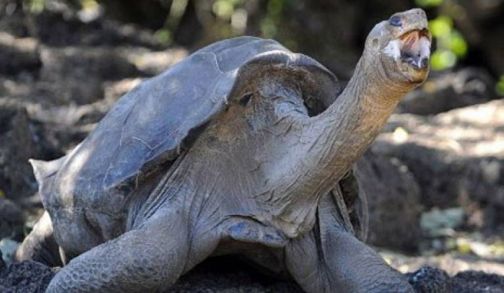 2b4626335e07df415523f747fa13e4bc