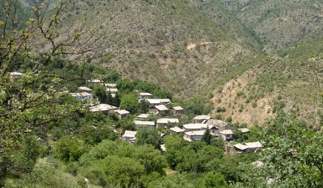 ce3e950cf22d7f2b1386f6cdcea02af6