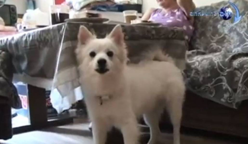 015dafc5b3bcfa29053788b3c9328502