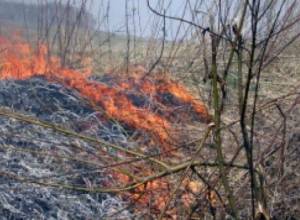 Fires in grassy areas