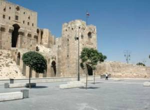 Number of victims grows