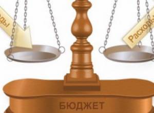 Who and how executed budget?