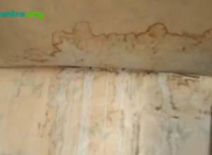 Gyumri citizen lives in shack with her four minors