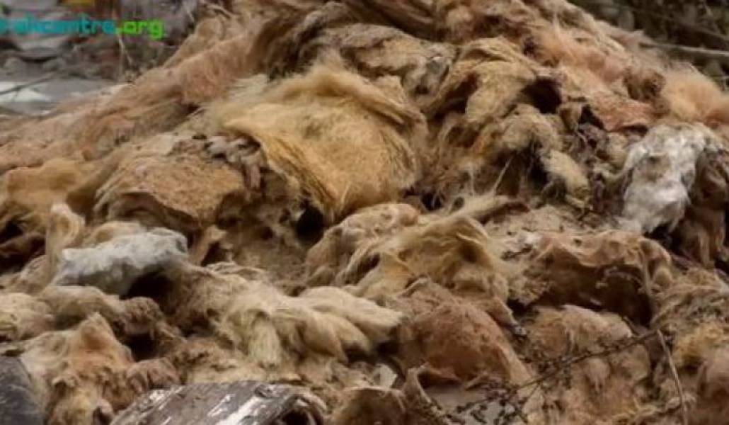 fc39f6e4f63a3346b340d6a3e94aa8bd