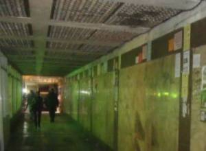 Counterblow art group members released /updated/