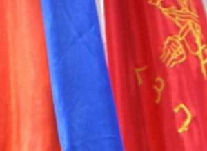 ARF: Either vote with conscience or void ballots