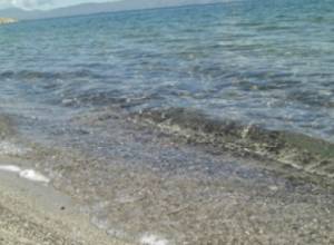Toxic elements in Lake Sevan exceeding MPC