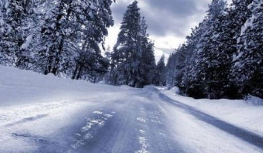 e65cf331b9bbaf65028a97c3222ef209