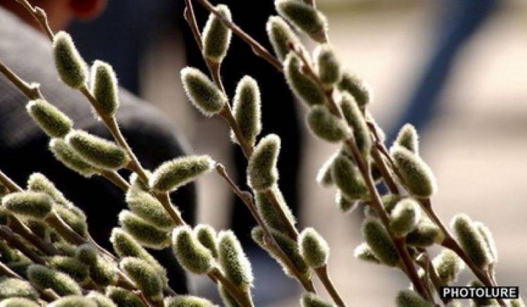 8ea0826cad1c2e116febbd8f43ee3bfd