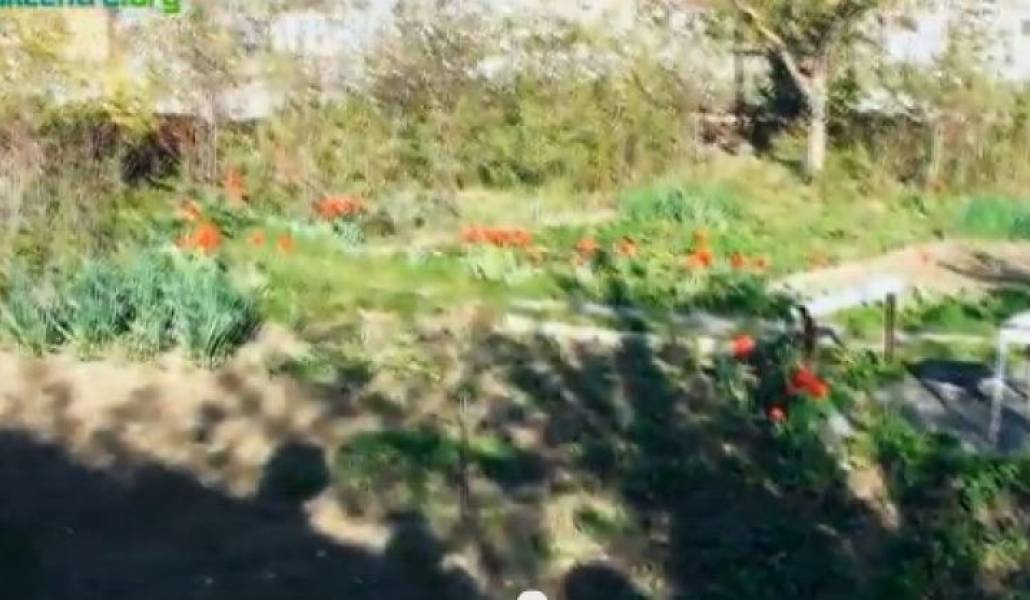 ad0eaad9ec1e06c6d6f2c82e012f7cb1