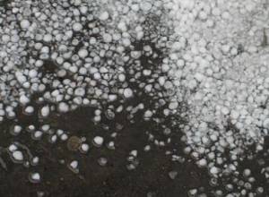 Government officials to pay money from their pockets