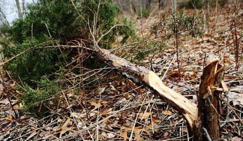 027e21f0bfa0cec6bbdb11bda2ae9b1e