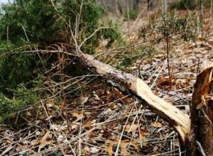 EcoLur to present model of ecological risks