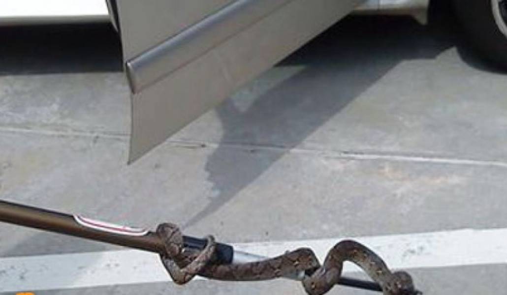 388e74b9f346a298c14fcbb8aaeb6b96