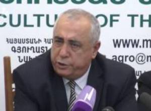 Խաղողի բերքն աննախադեպ էր, գյուղացին՝ դժգոհ. փոխնախարարը տեսնում է գյուղացու մեղքի բաժինը