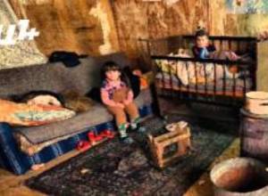 «Ես մեկին էի նկարել, որն անցած տարի ցրտից մեռավ». Լուսանկարիչը դրամահավաք է նախաձեռնել