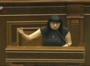 Եթե Սյունիքում հանրաքվեի դրվի Մոզամբիկի դեմոկրատիայի հարցը