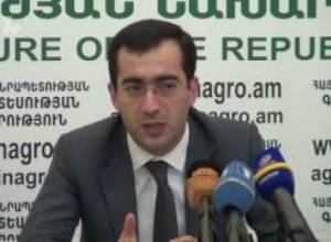 Օգոստոսի 14-ից կմթերեն Սարդարապատի լոլիկը