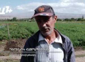 Սեզոնին սպասելիս