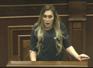 Տրանսգենդեր կինը ելույթ ունեցավ Աժ ամբիոնից, Նաիրա Զոհրաբյանը զայրացավ