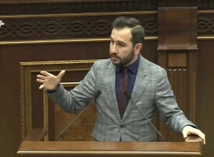 «Կարո՞ղ ա մենք խնդրենք, պարո՛ն Ծառուկյան, էլի բարի կամք դրսևորեք», «Իմ քայլը» պատգամավոր