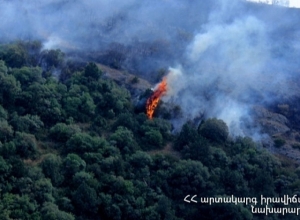 В селе Шикахох Сюникской области горит травяной покров