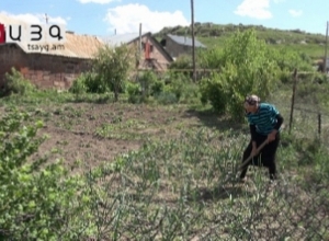 Լանջիկում տնամերձ հողերը գրեթե անմշակ են մնում ոռոգման ջուր չլինելու պատճառով