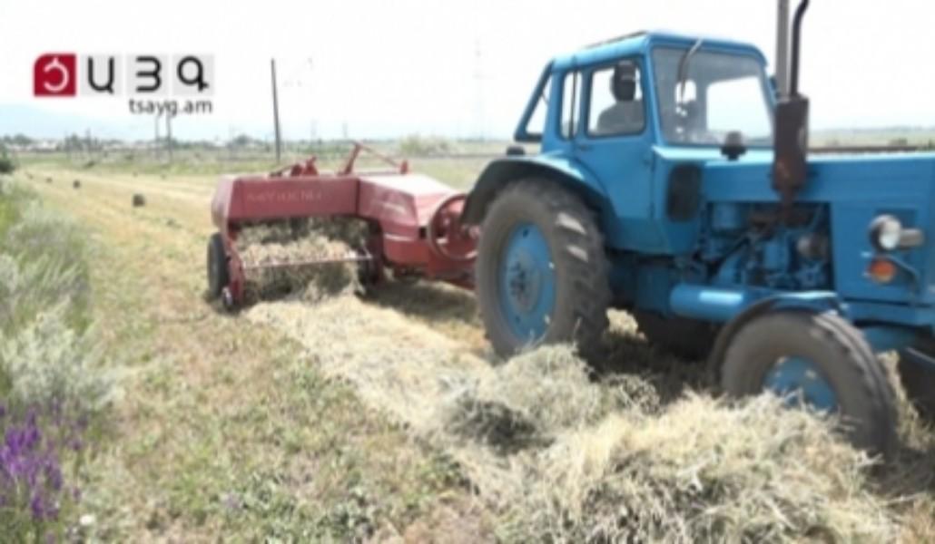 1561556588_hexin-xothundz