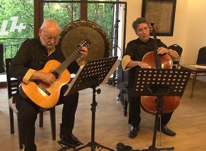 Երբ միաձուլվում են գերմանական հավասարակշությունը և բրազիլական կրքոտությունը