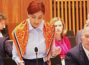 Անի Սամսոնյանի ելույթը ԵԱՀԿ ԽՎ-ում