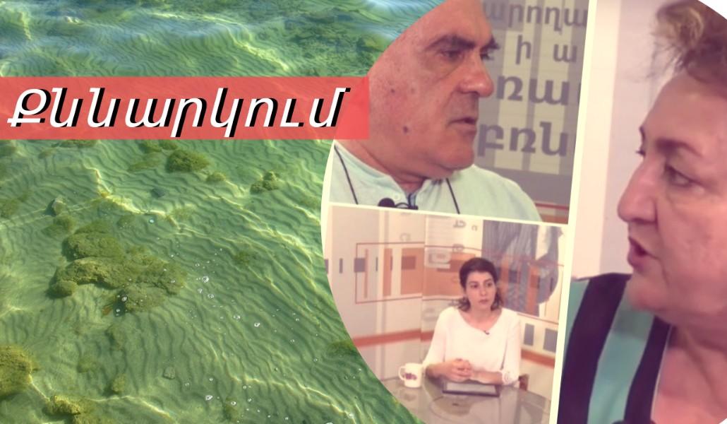 Untitled designտտտտտտտտտտտտ