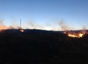 Пожар, вспыхнувший вблизи мемориального комплекса Цицернакаберд, потушен