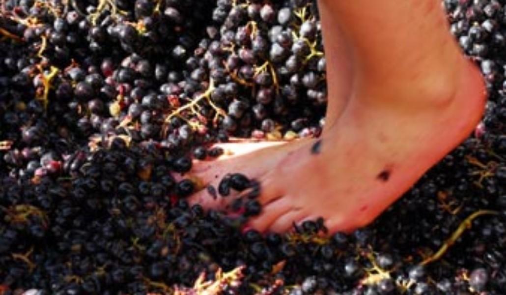 f546cbc83c355d_546cbc83c3981