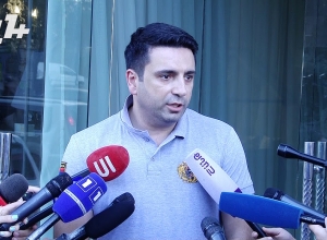 «Քննարկում ենք, ասում եք պառակտում կա, չենք քննարկում, ասում եք կնոպկա սեղմող կա»