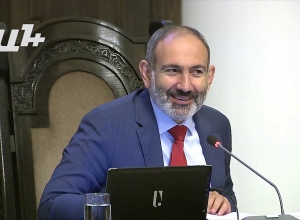 Եթե մեկը որոշի 3 մլն գլուխ ոչխար ներմուծել Հայաստան, հիմա պետք է ՇՄԱԳ անցնի․ Նիկոլ Փաշինյանը կատակեց