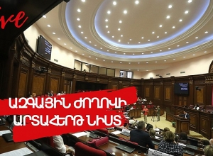 Внеочередное заседание Национального Собрания: ПРЯМОЙ ЭФИР