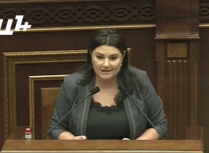 Չեմ հասկանում,երբ ծրագրից հանվում է 3 առարկա, որոնցից յուրաքանչյուրը սկսվում է հայ բառով․ Ի․ Տոնոյան