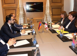 Հանդիպել են Հայաստանի ու Վրաստանի փոխվարչապետները