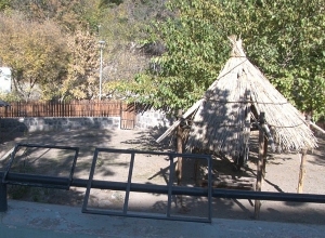 All parks must be fenced - Zoo Animal Care Coordinator