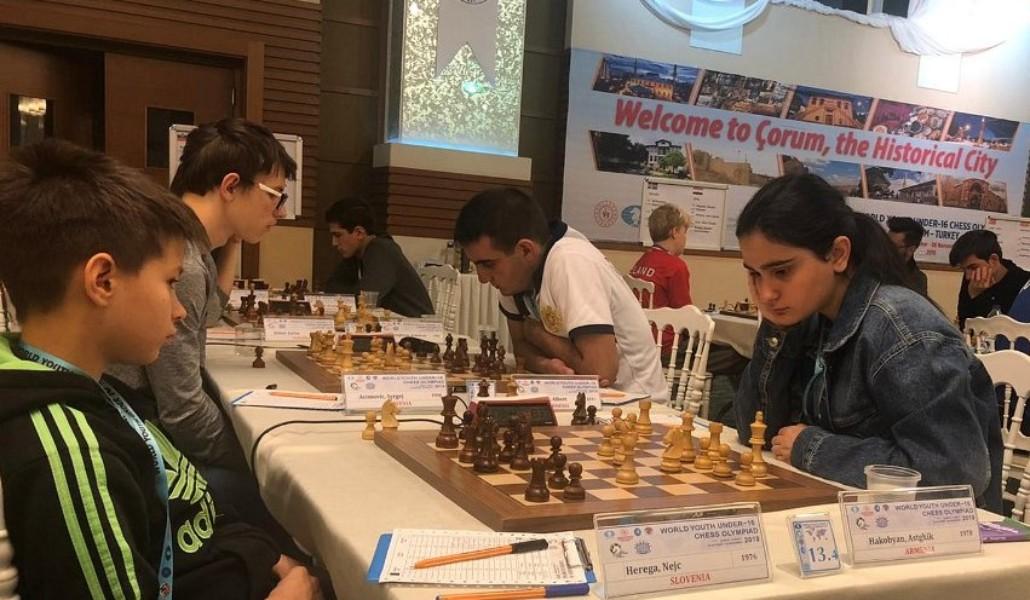 sport chess olimpiada 5.11.