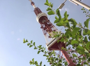 10 декабря в сети вещания будут проведены профилактические работы